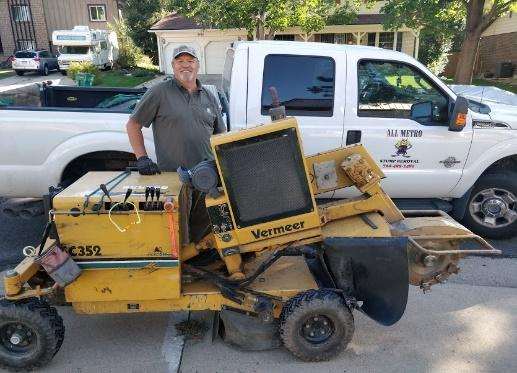 stump grinding in Englewood and metro Denver