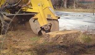 local stump removal company