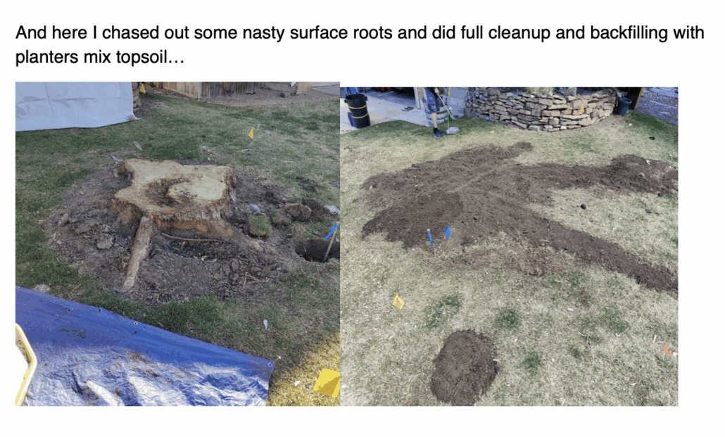 Englewood and metro denver stump removal company