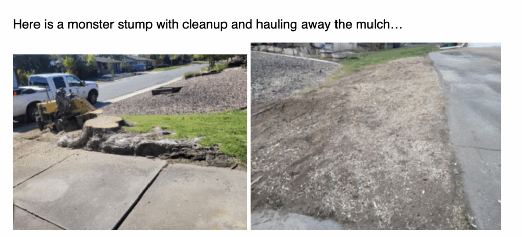 Englewood and metro denver stump removal